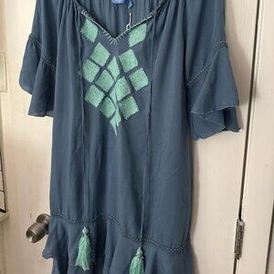 Blue Ginger Women's Dress / Coverup